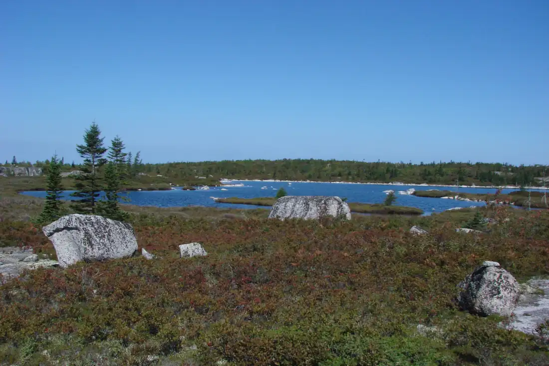 A barrens lake under a clear sky, lichen-covered granite erratics scattered through low heath in the foreground and a spruce-treed far shore.