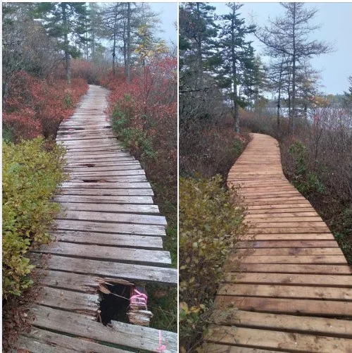 Fresh lumber laid across boardwalk stringers during the 2023 face board replacement.
